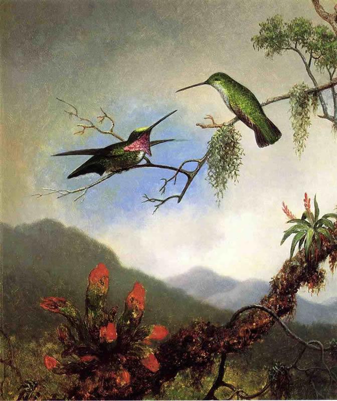 Martin Johnson Heade Amethyst Hummingbirds